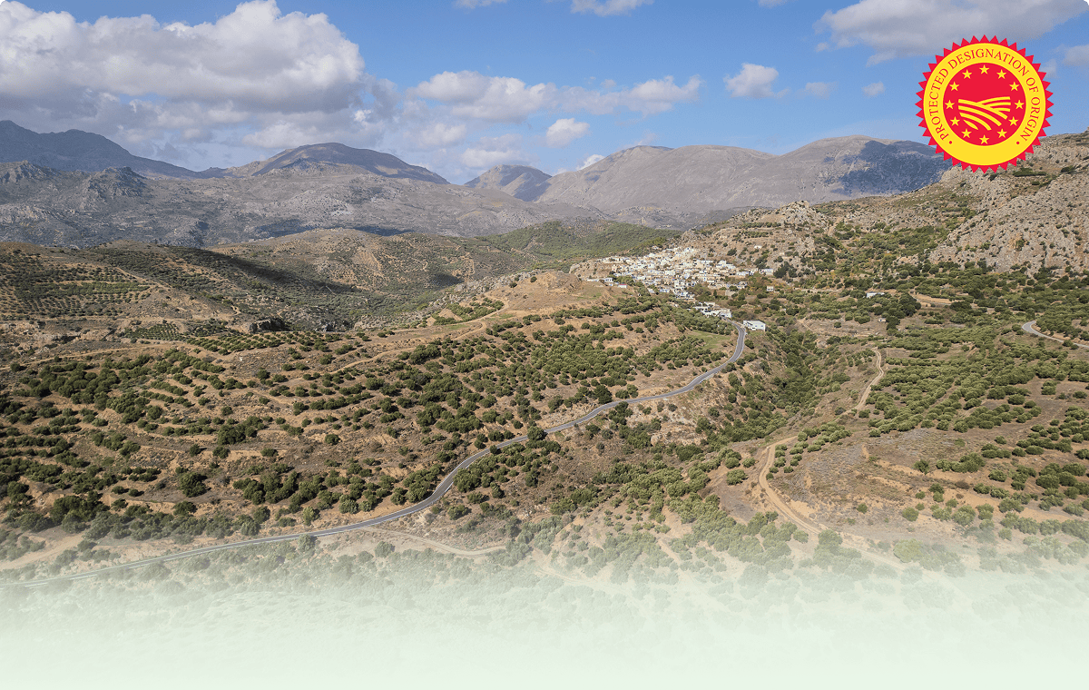 Krajina Kréty v horách kolem vesnice Agios Stefanos, oblast Sitia, kde jsou olivové háje firmy Theikos